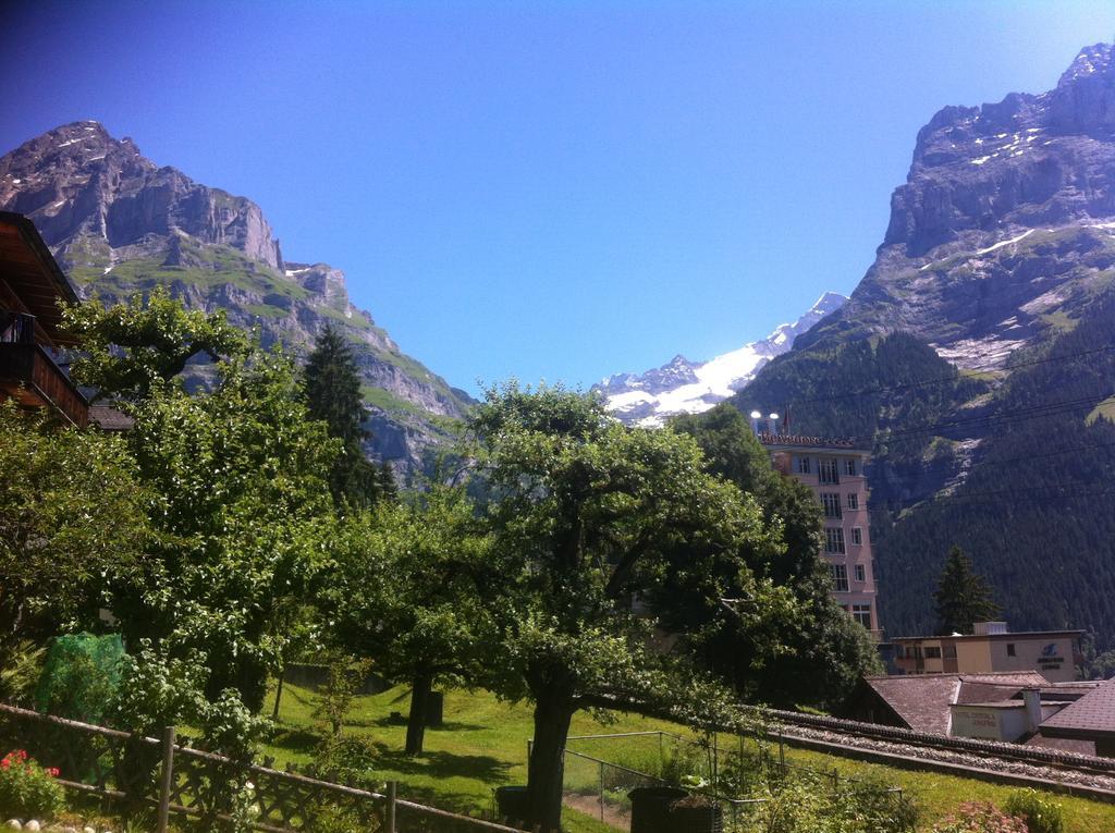 "Studio Edelweiss" Spillstatthus Grindelwald Exterior photo